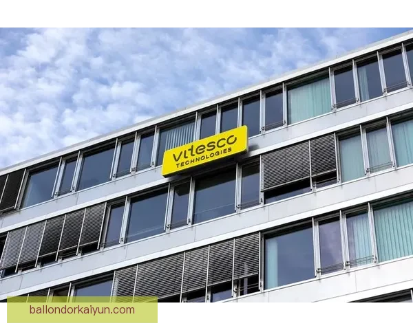 加维与拉菲尼亚合作表现稳健，状态持续提升中